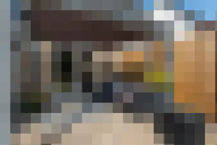 de Aren 12 St.-Annaparochie thumbnail 49