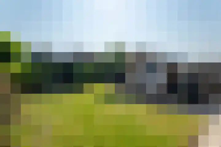 de Aren 12 St.-Annaparochie thumbnail 5