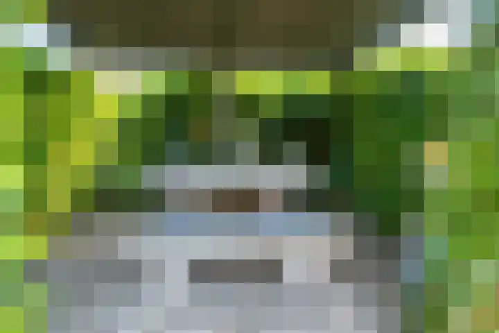 de Aren 12 St.-Annaparochie thumbnail 51