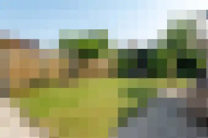 de Aren 12 St.-Annaparochie thumbnail 52