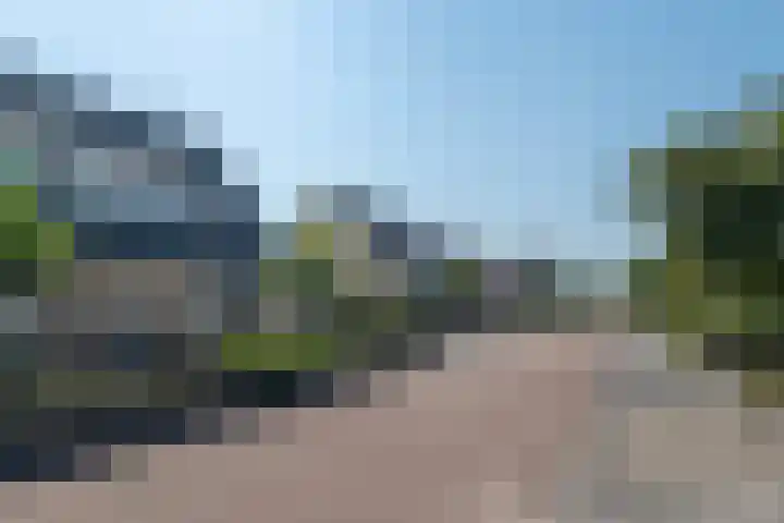 de Aren 12 St.-Annaparochie thumbnail 6