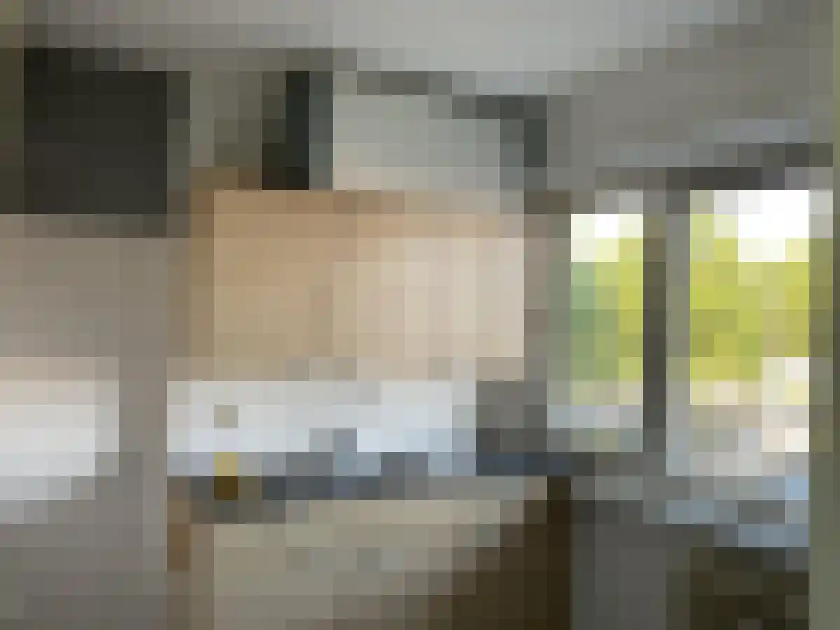 De Arend 21 Hoogeveen thumbnail 5