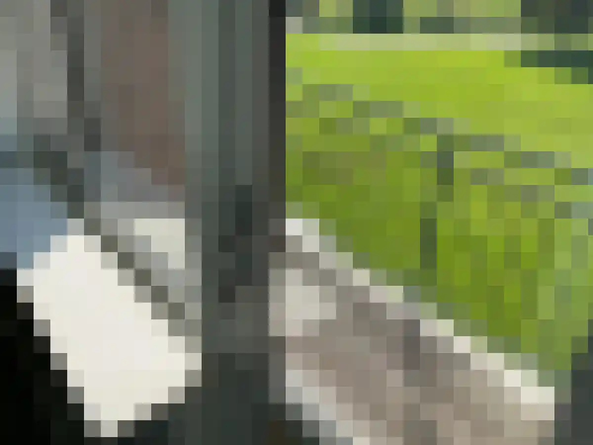De Arend 21 Hoogeveen thumbnail 6