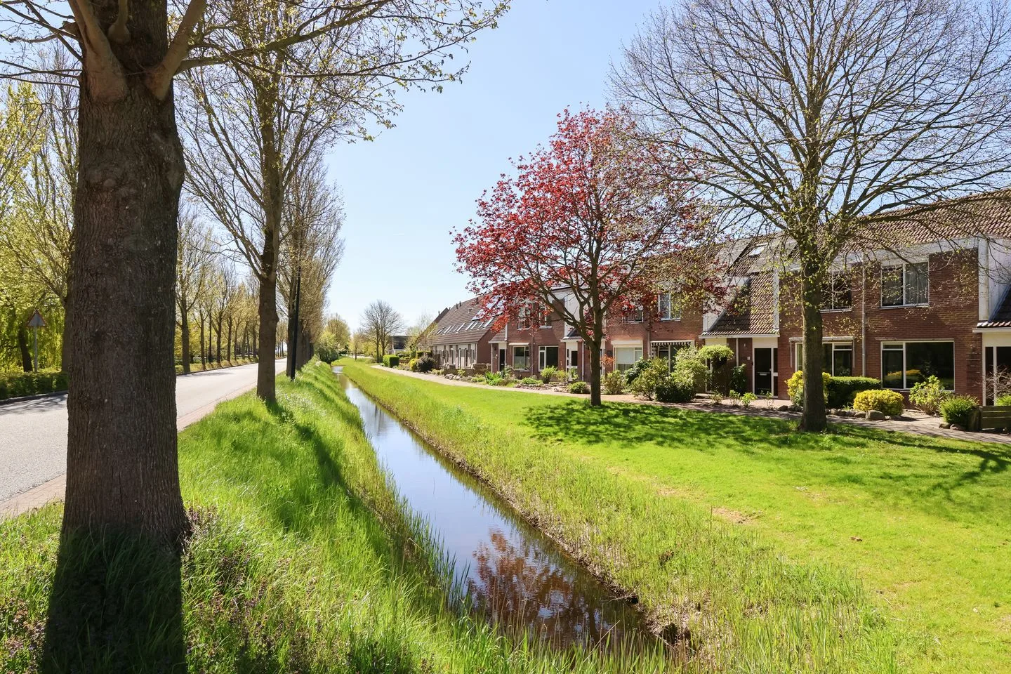 De Arend 8 Harlingen foto 2