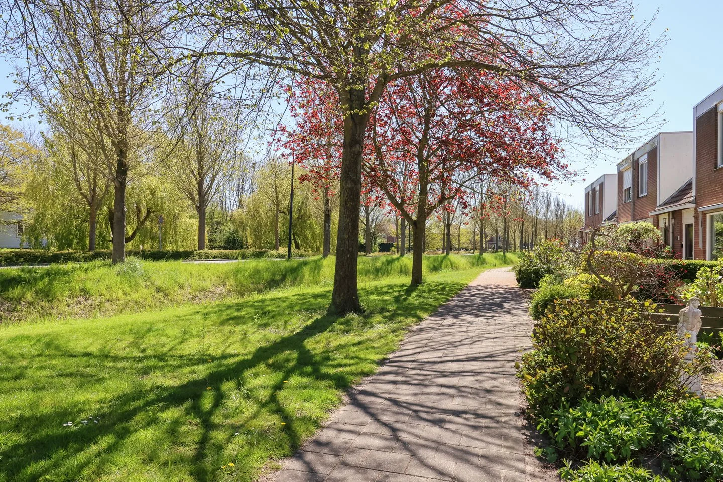 De Arend 8 Harlingen foto 3