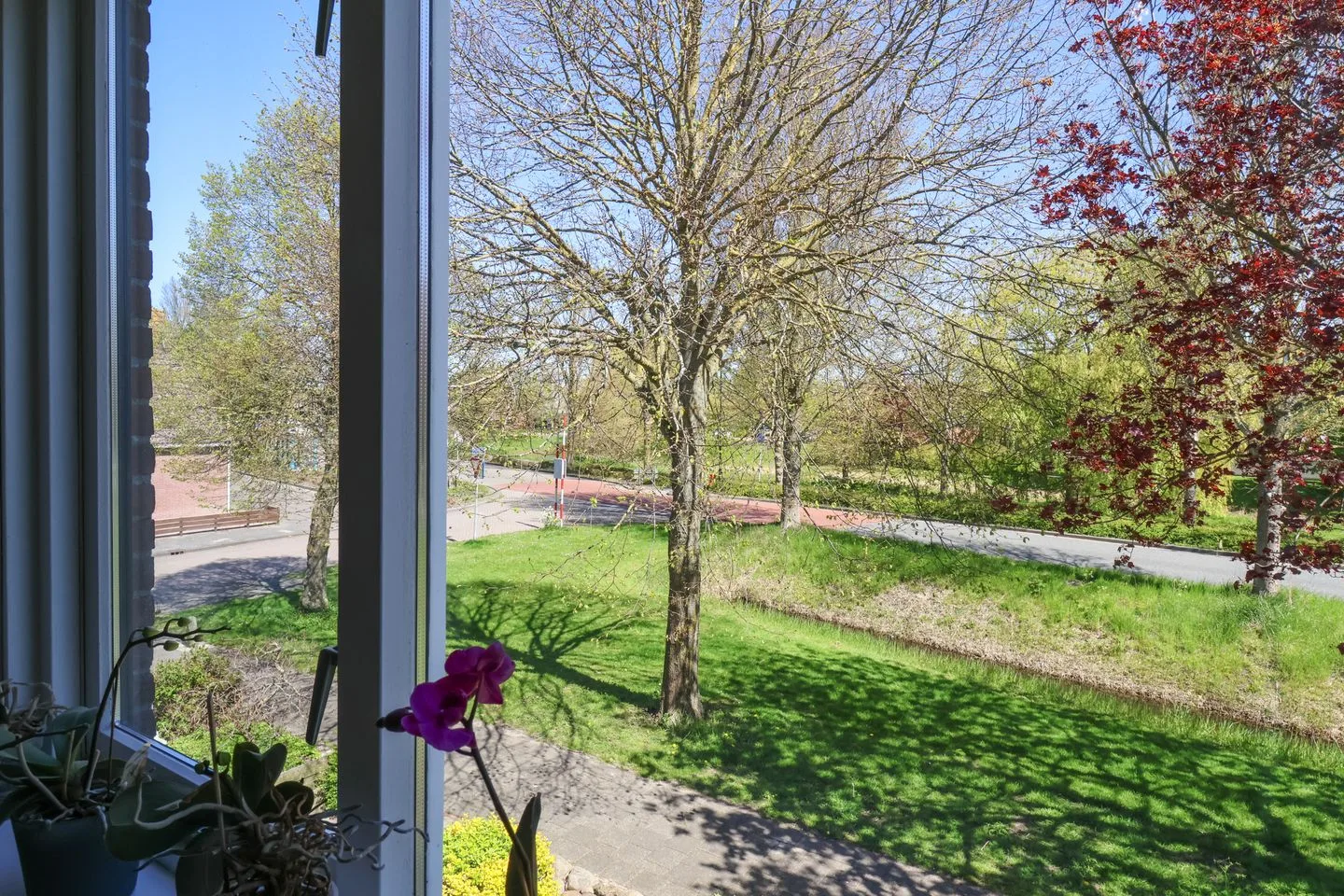 De Arend 8 Harlingen thumbnail 38