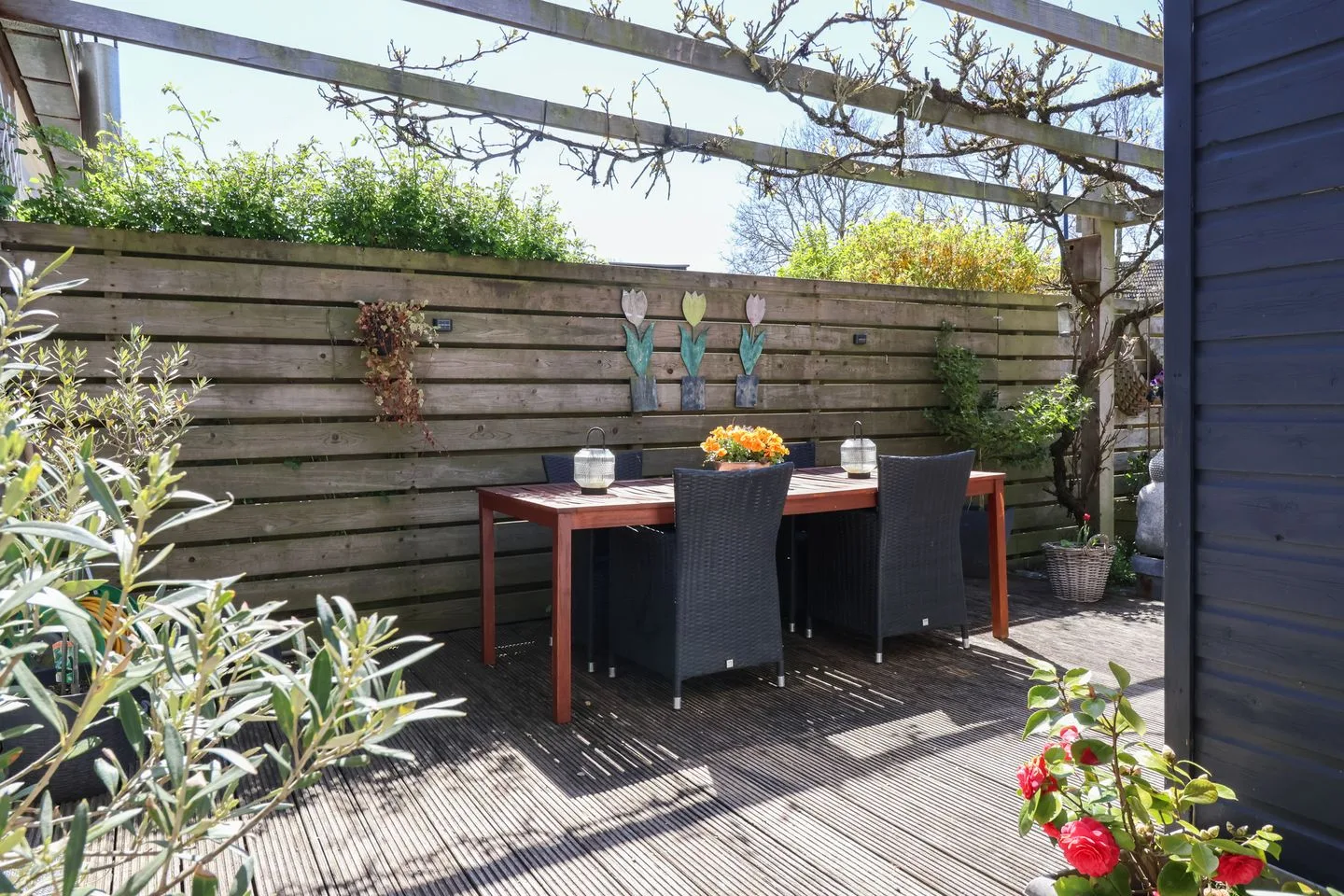 De Arend 8 Harlingen thumbnail 46