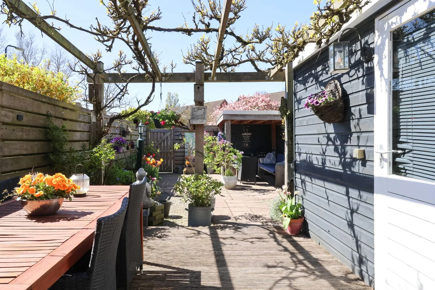 De Arend 8 Harlingen thumbnail 47