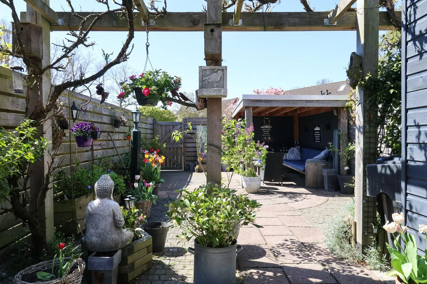 De Arend 8 Harlingen thumbnail 48