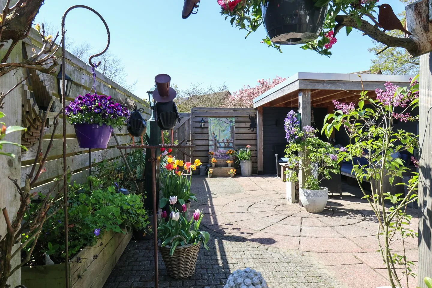 De Arend 8 Harlingen thumbnail 49