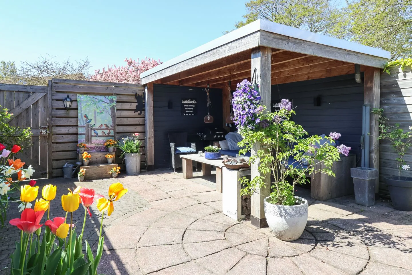 De Arend 8 Harlingen thumbnail 51