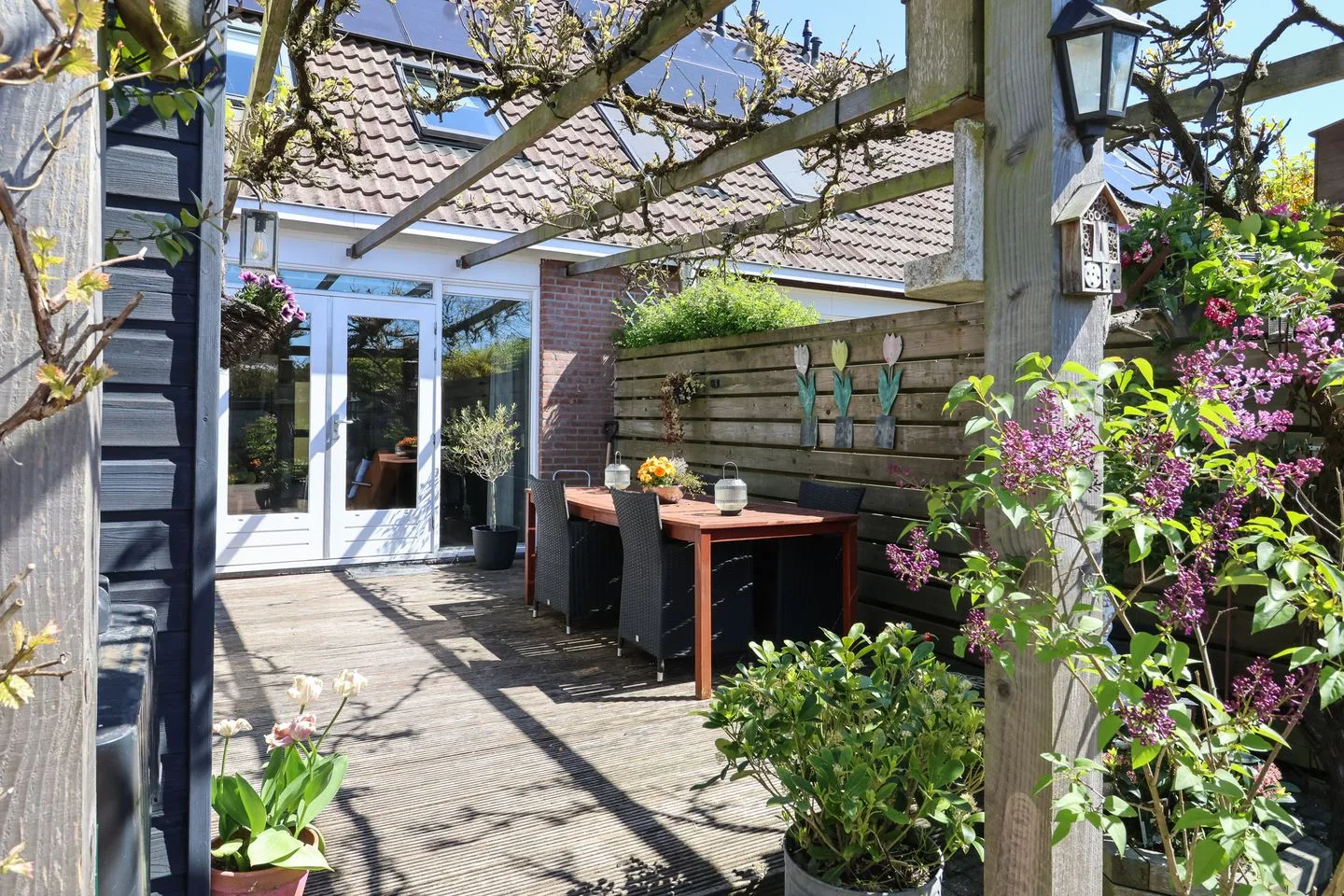 De Arend 8 Harlingen thumbnail 57