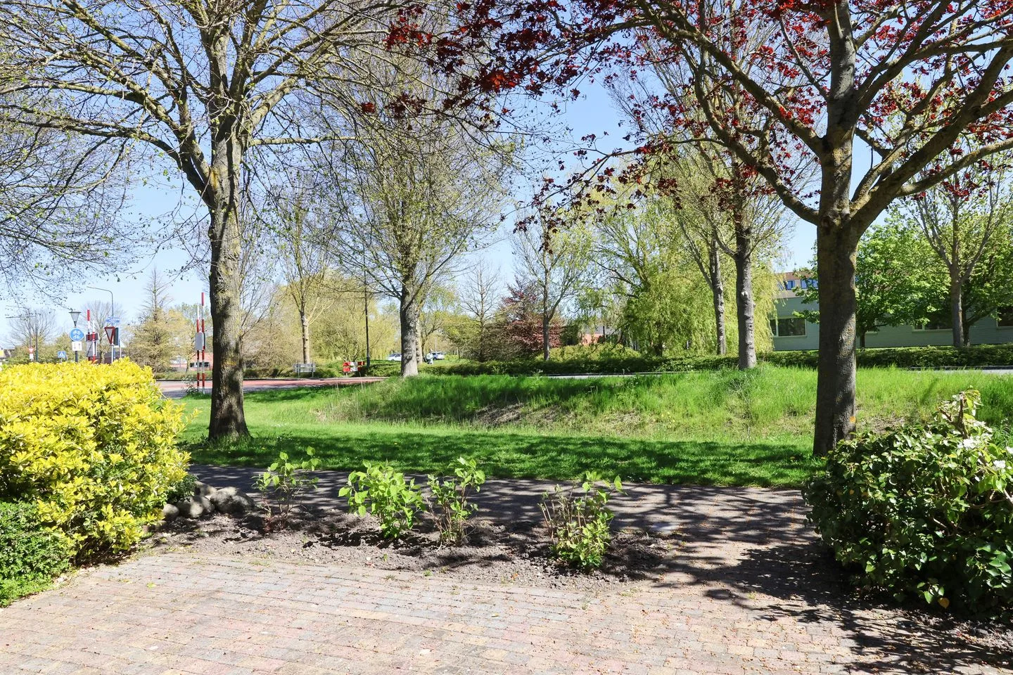 De Arend 8 Harlingen thumbnail 8