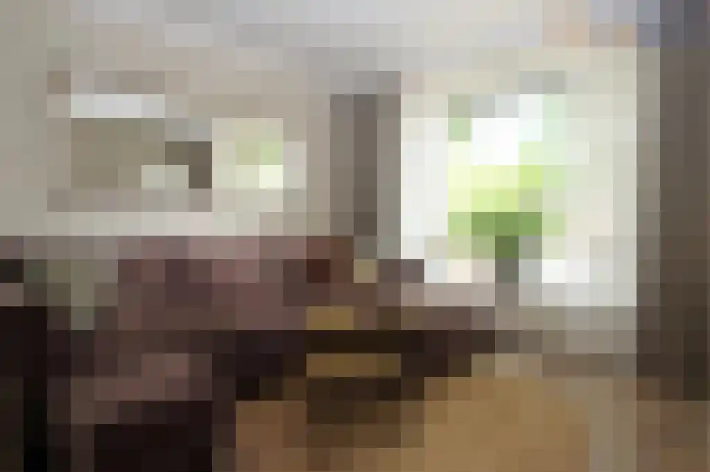 De Arke 6 Ruinerwold thumbnail 4