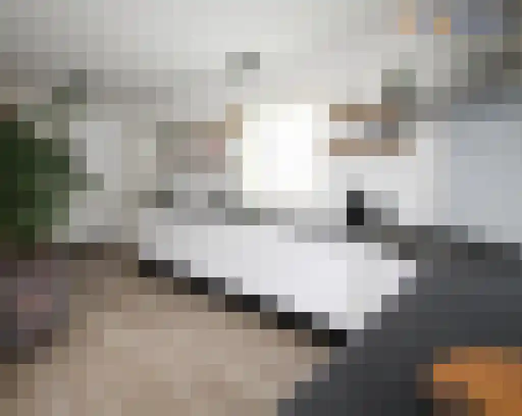 De Arke 6 Ruinerwold thumbnail 5
