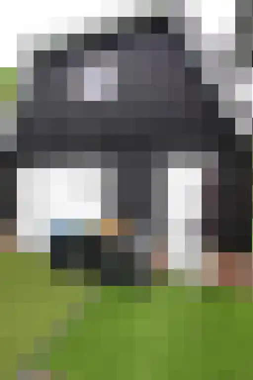 De Arke 60 Ruinerwold thumbnail 5