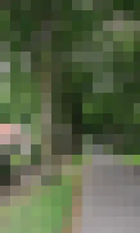 De Arke 60 Ruinerwold thumbnail 6