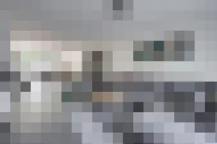 De Armhoef 33 Udenhout thumbnail 18