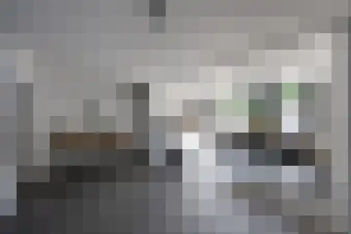 De Armhoef 33 Udenhout thumbnail 20