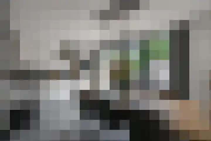 De Armhoef 33 Udenhout thumbnail 24