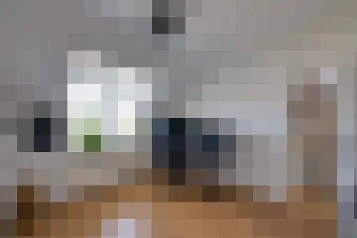 De Armhoef 33 Udenhout thumbnail 29