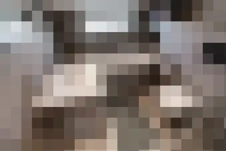 De Armhoef 33 Udenhout thumbnail 31