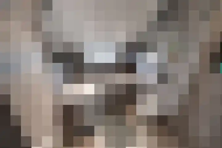 De Armhoef 33 Udenhout thumbnail 4