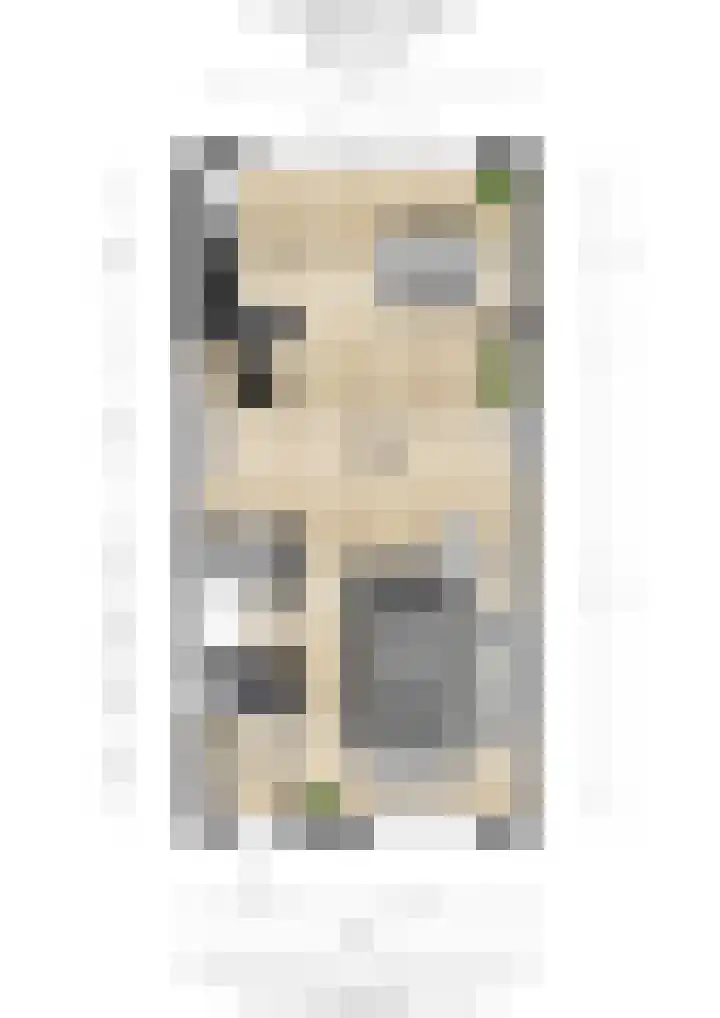 De Armhoef 33 Udenhout thumbnail 44