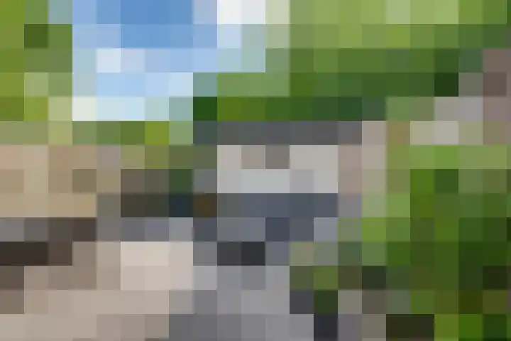 De Armhoef 33 Udenhout thumbnail 5