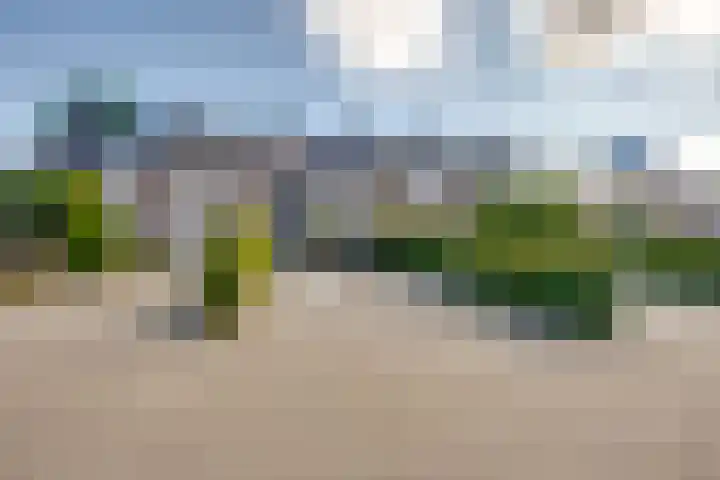 De Armhoef 33 Udenhout thumbnail 6