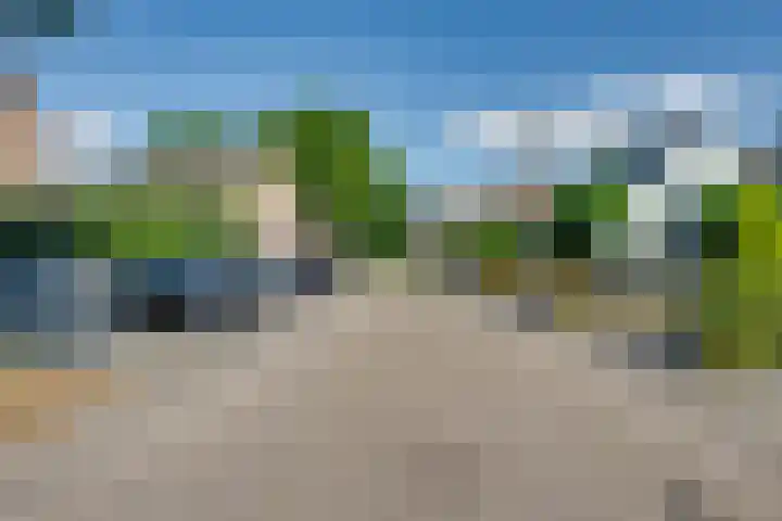 De Armhoef 33 Udenhout thumbnail 7
