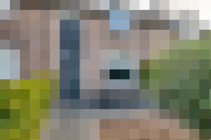 De Armhoef 33 Udenhout thumbnail 8