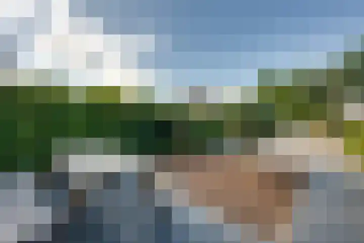 De Armhoef 33 Udenhout thumbnail 9