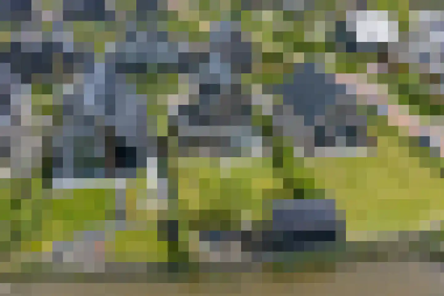 De Azuurjuffer 25 Eelderwolde thumbnail 100