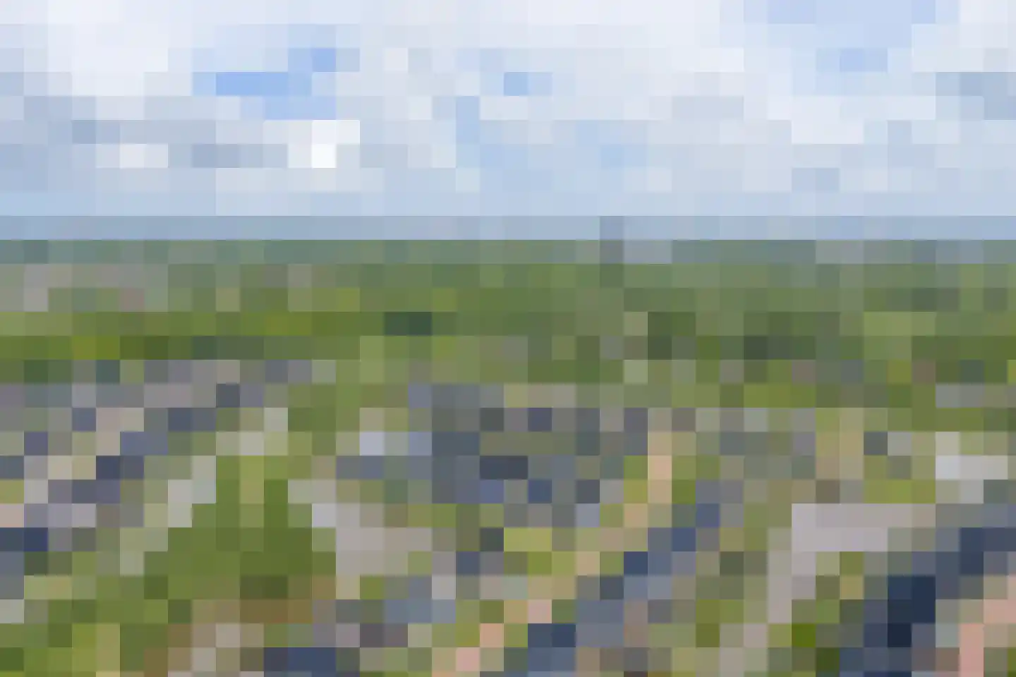 De Azuurjuffer 25 Eelderwolde thumbnail 107