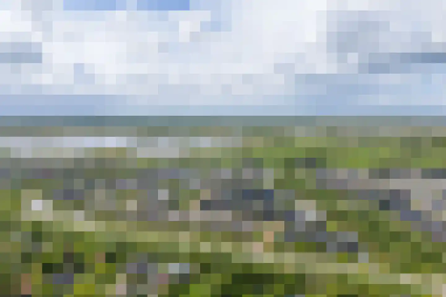 De Azuurjuffer 25 Eelderwolde thumbnail 108