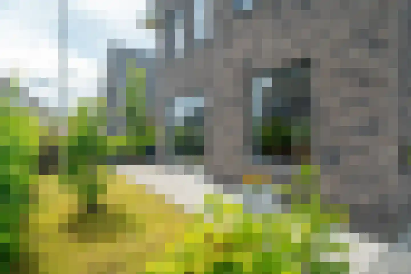 De Azuurjuffer 25 Eelderwolde thumbnail 12
