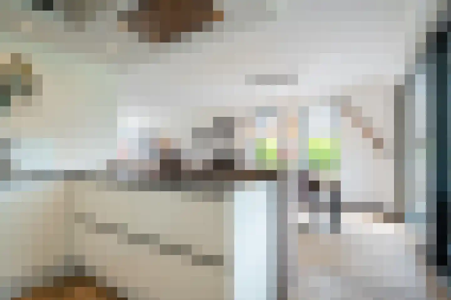 De Azuurjuffer 25 Eelderwolde thumbnail 37