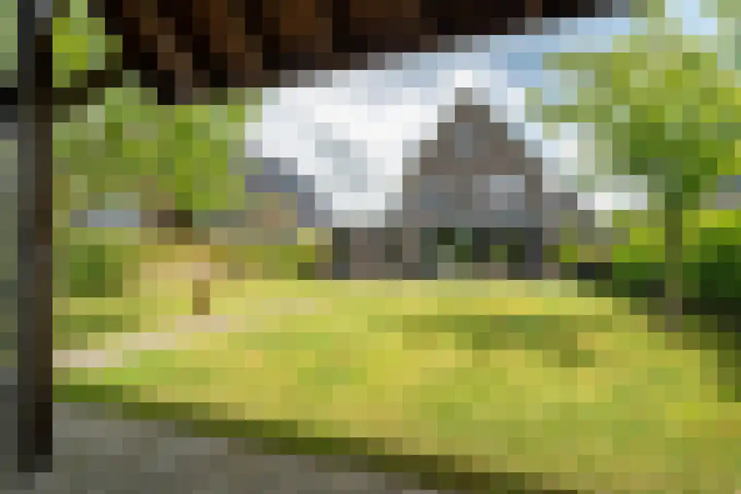 De Azuurjuffer 25 Eelderwolde thumbnail 79