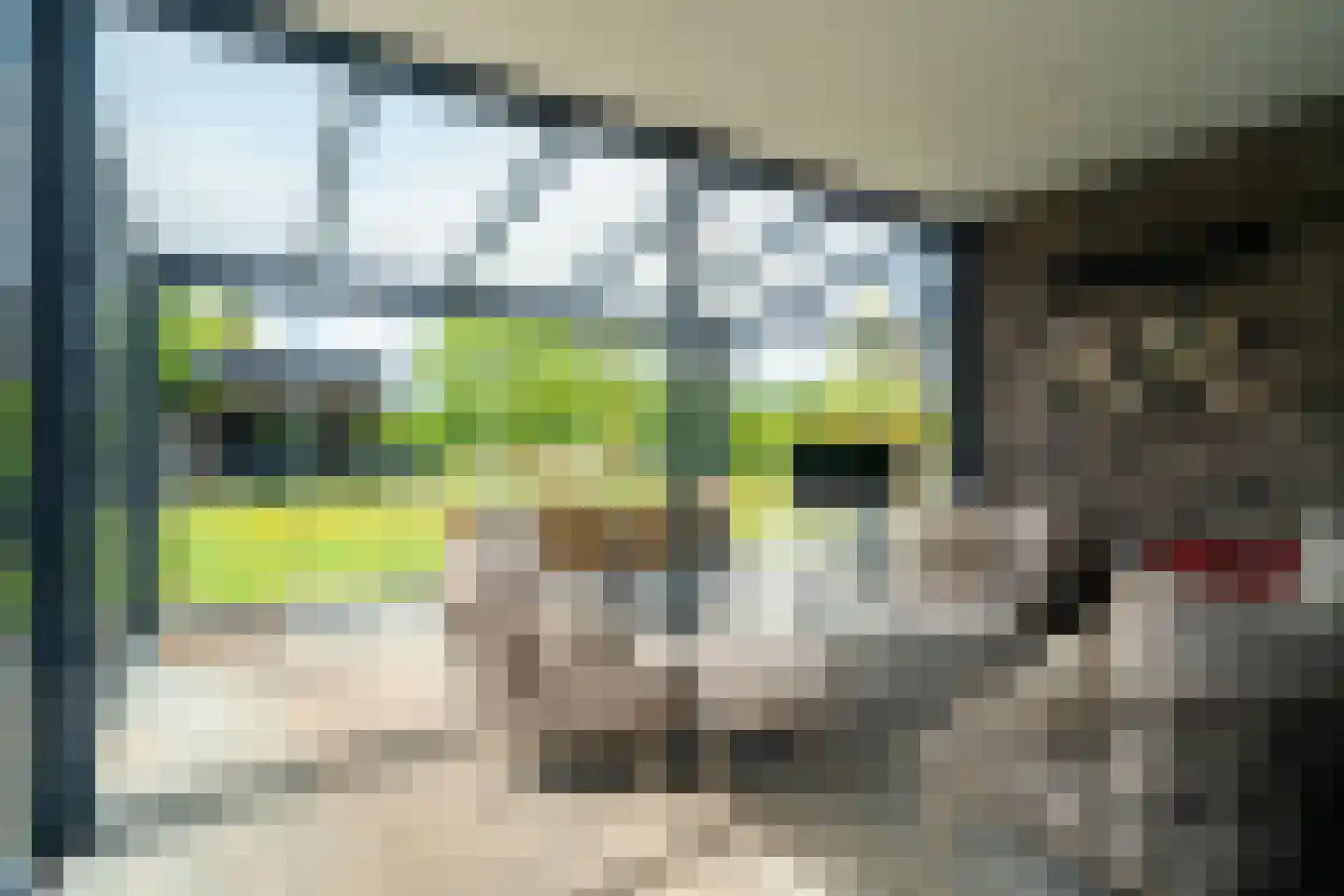 De Azuurjuffer 25 Eelderwolde thumbnail 83