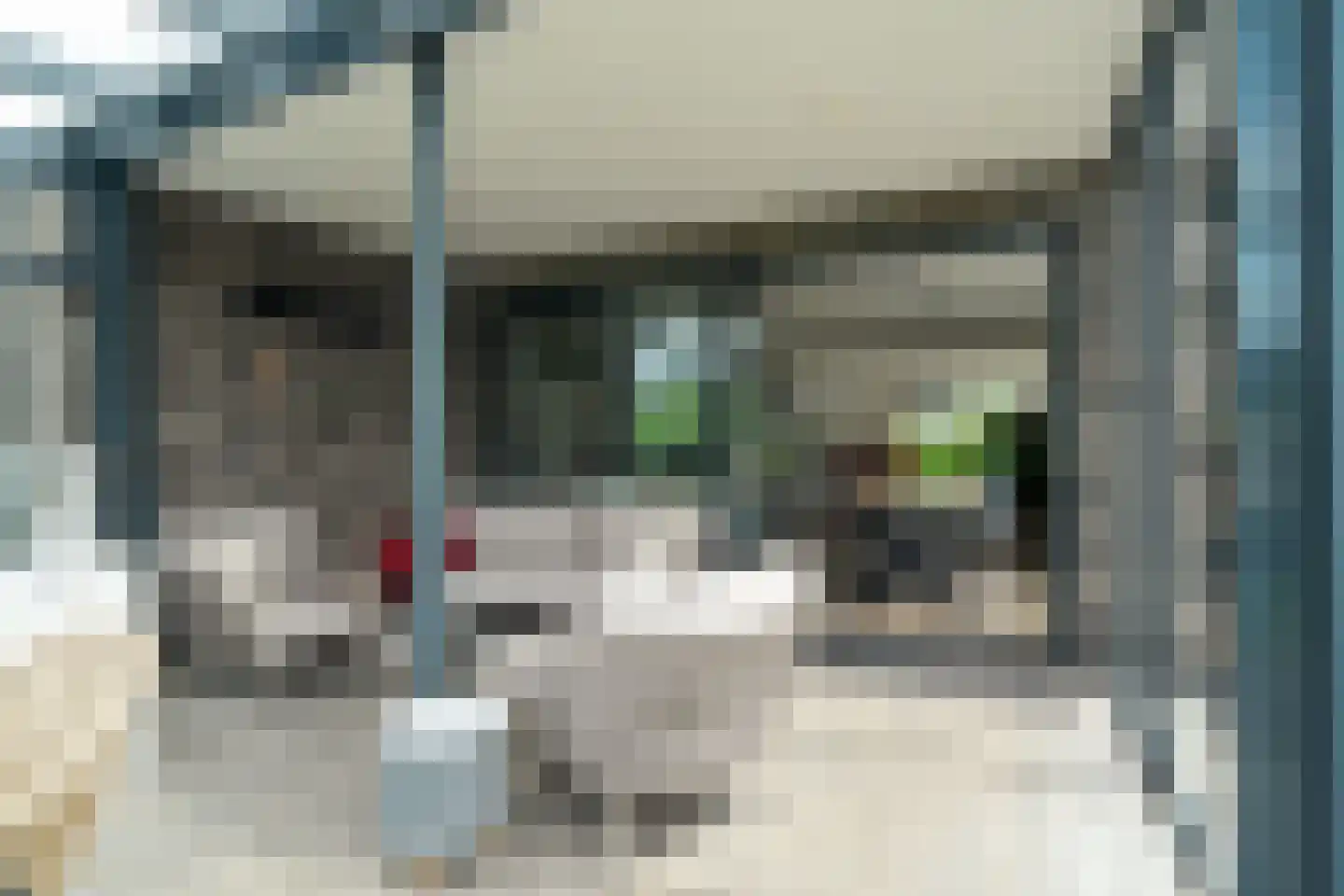 De Azuurjuffer 25 Eelderwolde thumbnail 85