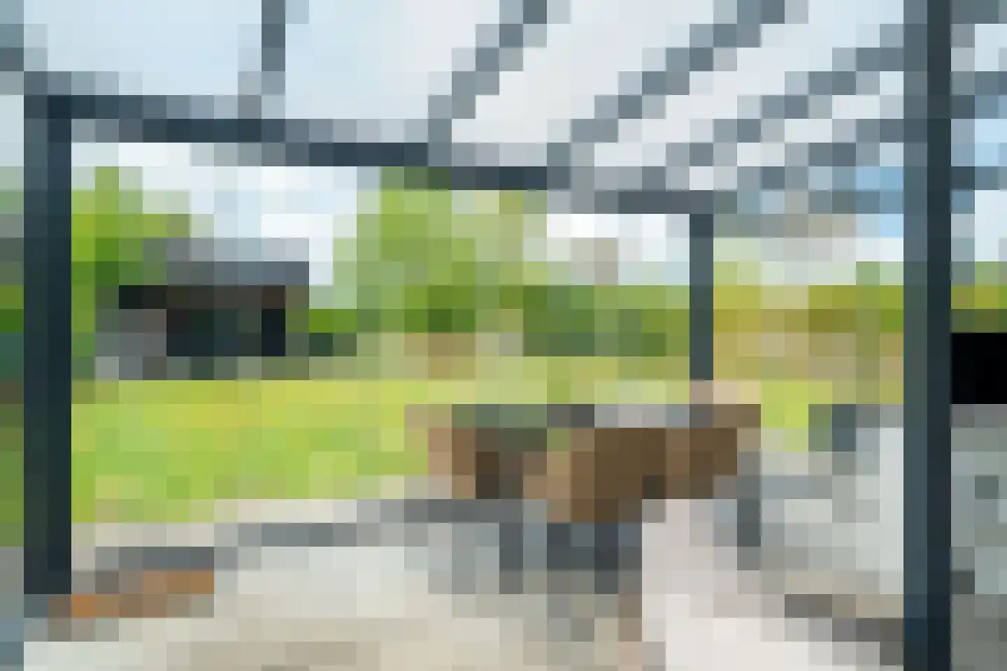 De Azuurjuffer 25 Eelderwolde thumbnail 86