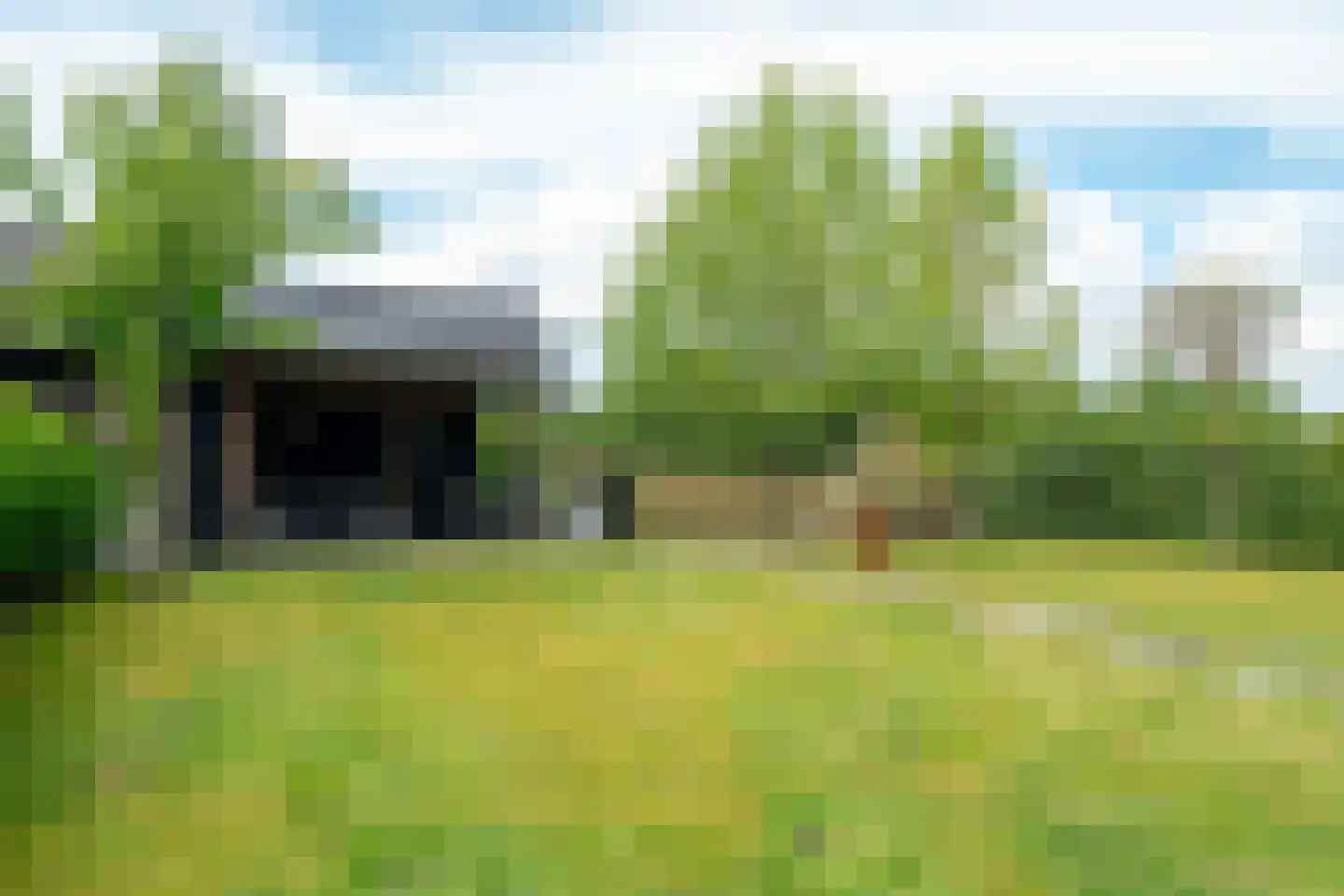 De Azuurjuffer 25 Eelderwolde thumbnail 89