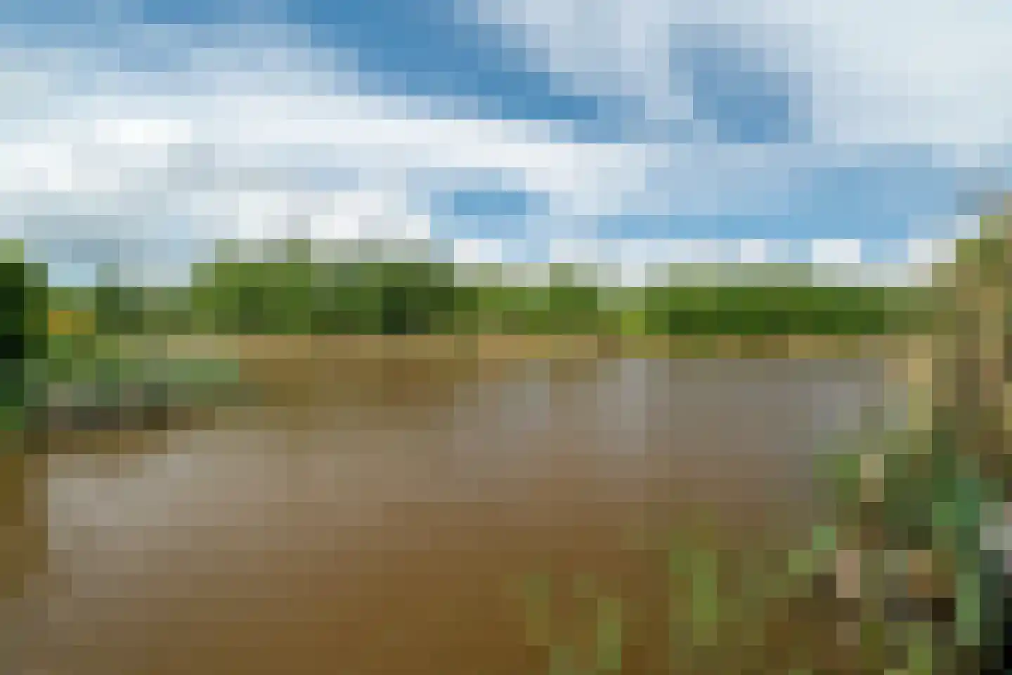 De Azuurjuffer 25 Eelderwolde thumbnail 95