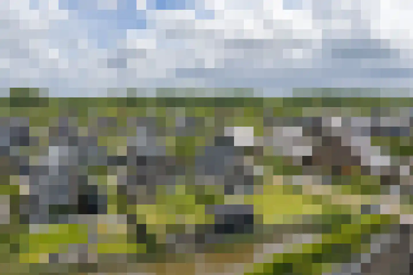 De Azuurjuffer 25 Eelderwolde thumbnail 97
