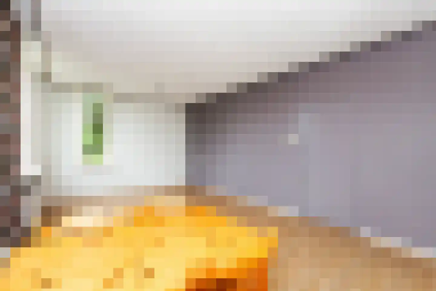 De Baan 2 Alblasserdam thumbnail 14