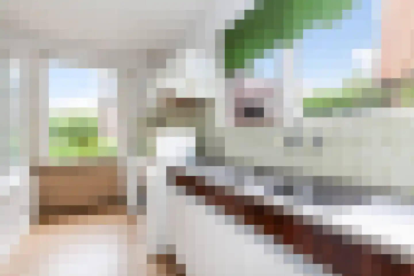 De Baan 2 Alblasserdam thumbnail 15