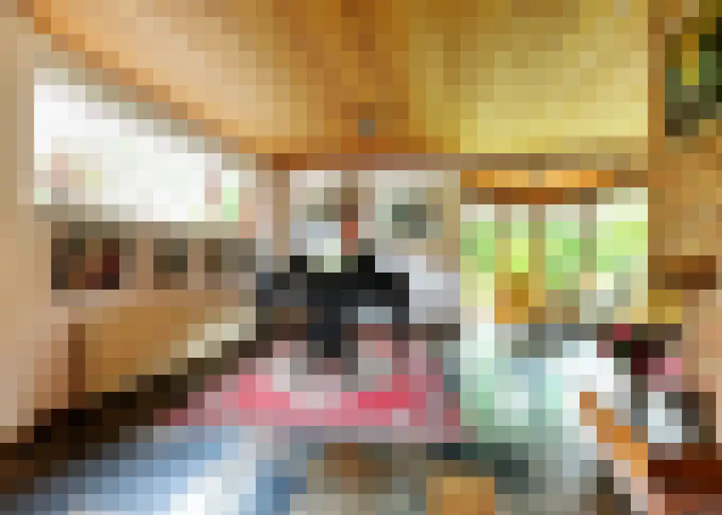 De Baan 23 Warmenhuizen thumbnail 10