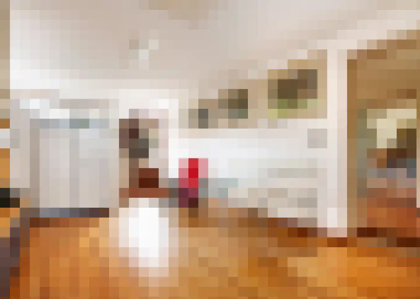De Baan 23 Warmenhuizen thumbnail 12