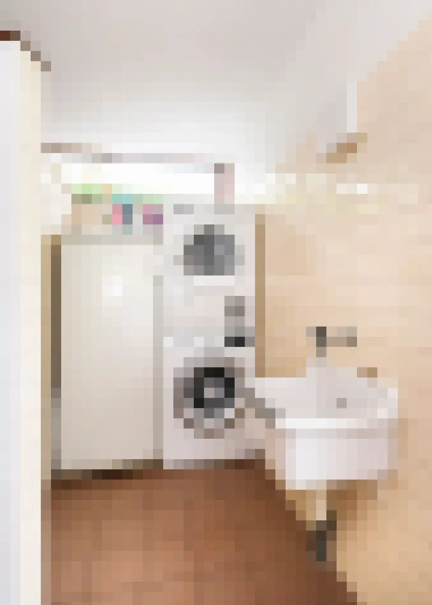 De Baan 23 Warmenhuizen thumbnail 13